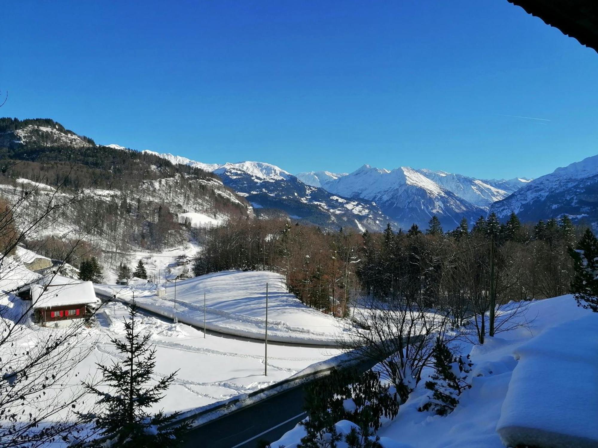 Gemuetliche Fewo Mit Sauna Inmitten Der Berge Meiringen Exterior photo