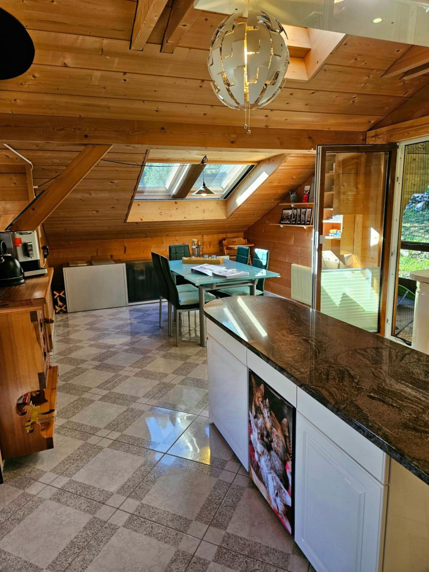 Gemuetliche Fewo Mit Sauna Inmitten Der Berge Meiringen Exterior photo