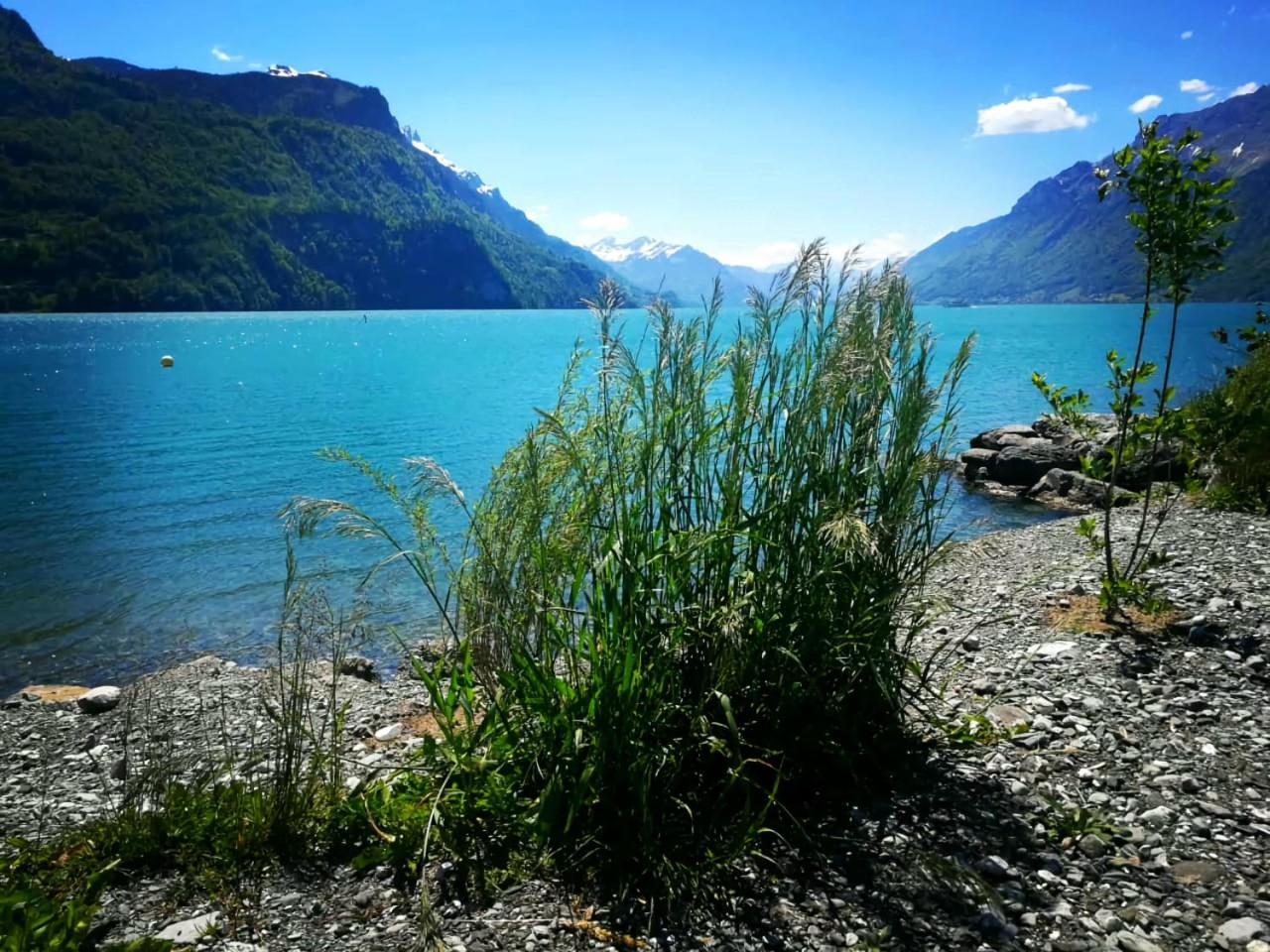 Gemuetliche Fewo Mit Sauna Inmitten Der Berge Meiringen Exterior photo