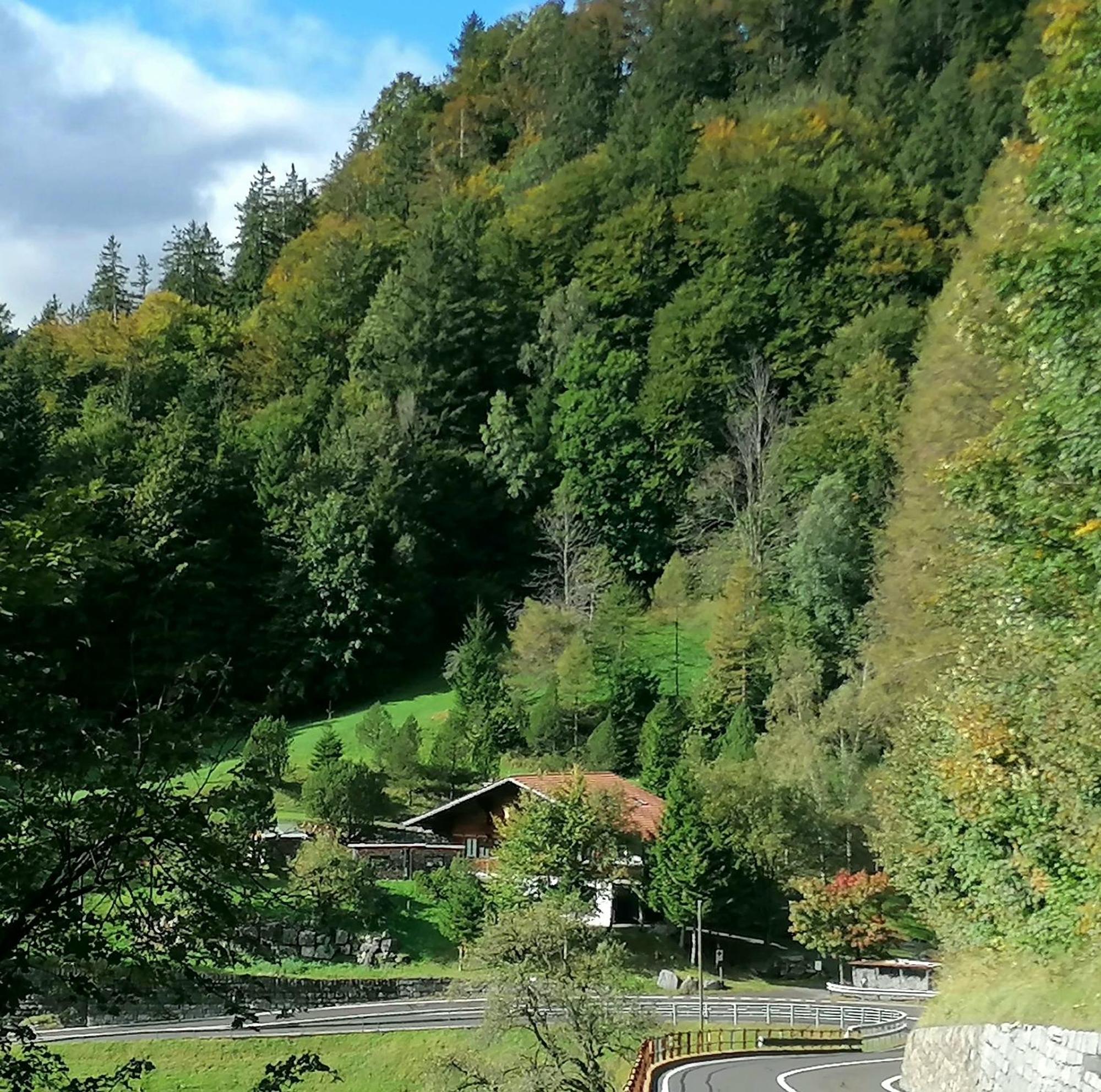 Gemuetliche Fewo Mit Sauna Inmitten Der Berge Meiringen Exterior photo